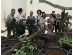 MART - Mostra Penone I giugno 2016